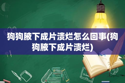 狗狗腋下成片溃烂怎么回事(狗狗腋下成片溃烂)