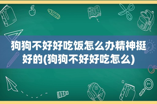 狗狗不好好吃饭怎么办精神挺好的(狗狗不好好吃怎么)