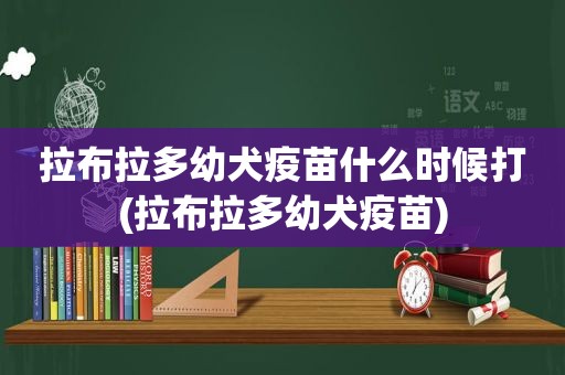 拉布拉多幼犬疫苗什么时候打(拉布拉多幼犬疫苗)