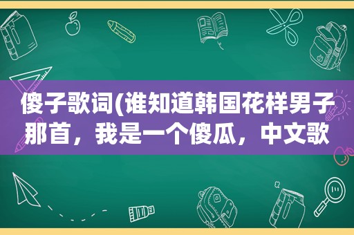 傻子歌词(谁知道韩国花样男子那首，我是一个傻瓜，中文歌词是什么)