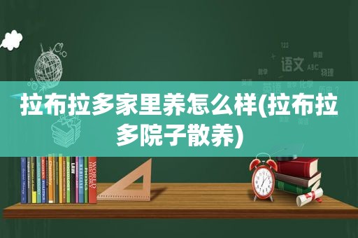 拉布拉多家里养怎么样(拉布拉多院子散养)