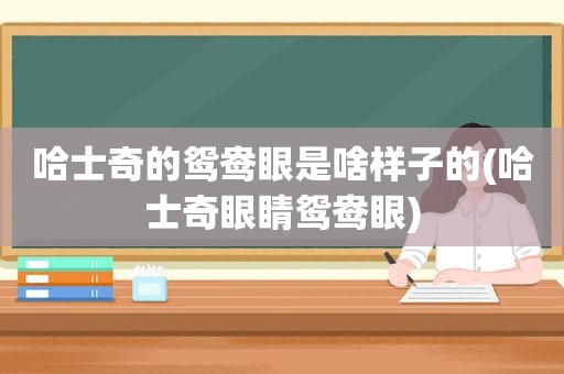 哈士奇的鸳鸯眼是啥样子的(哈士奇眼睛鸳鸯眼)