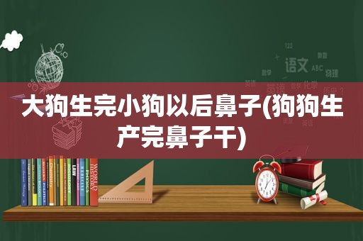 大狗生完小狗以后鼻子(狗狗生产完鼻子干)