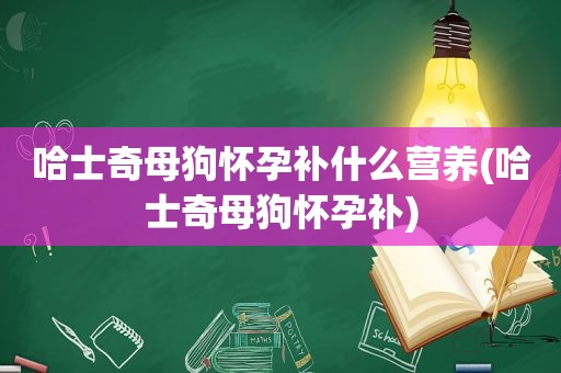 哈士奇母狗怀孕补什么营养(哈士奇母狗怀孕补)