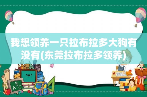 我想领养一只拉布拉多大狗有没有(东莞拉布拉多领养)