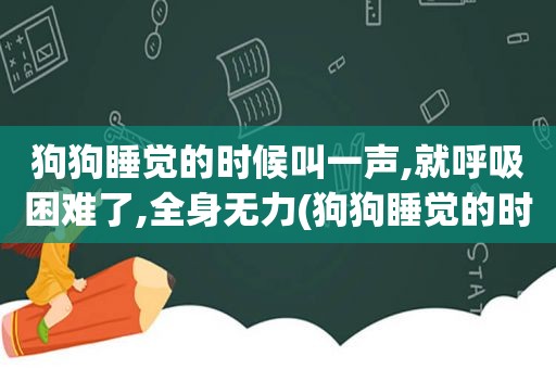 狗狗睡觉的时候叫一声,就呼吸困难了,全身无力(狗狗睡觉的时候叫)