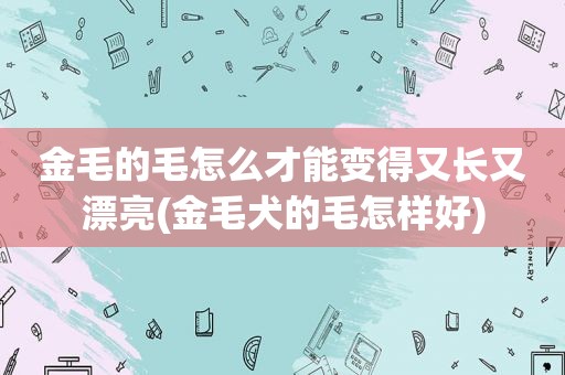 金毛的毛怎么才能变得又长又漂亮(金毛犬的毛怎样好)