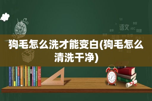 狗毛怎么洗才能变白(狗毛怎么清洗干净)