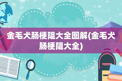 金毛犬肠梗阻大全图解(金毛犬肠梗阻大全)