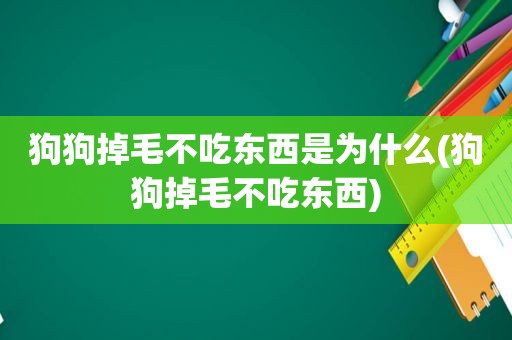 狗狗掉毛不吃东西是为什么(狗狗掉毛不吃东西)