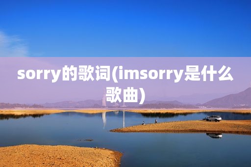 sorry的歌词(imsorry是什么歌曲)