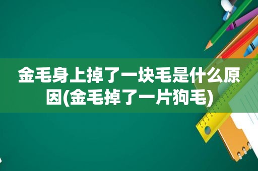 金毛身上掉了一块毛是什么原因(金毛掉了一片狗毛)