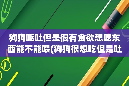 狗狗呕吐但是很有食欲想吃东西能不能喂(狗狗很想吃但是吐)