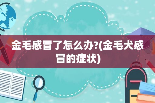 金毛感冒了怎么办?(金毛犬感冒的症状)