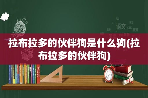 拉布拉多的伙伴狗是什么狗(拉布拉多的伙伴狗)