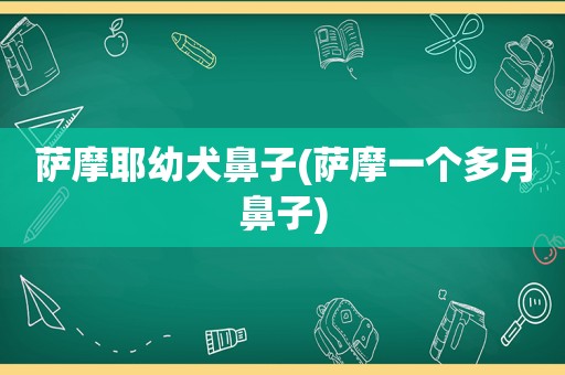 萨摩耶幼犬鼻子(萨摩一个多月鼻子)