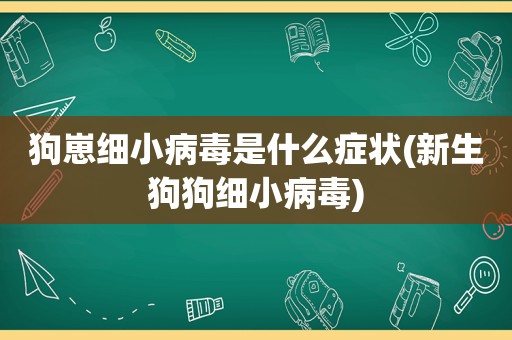 狗崽细小病毒是什么症状(新生狗狗细小病毒)