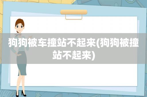 狗狗被车撞站不起来(狗狗被撞站不起来)