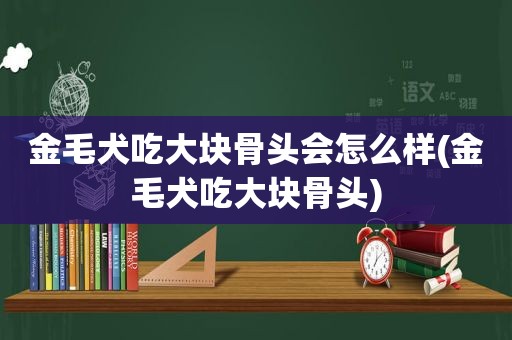 金毛犬吃大块骨头会怎么样(金毛犬吃大块骨头)