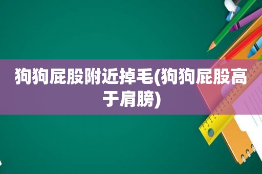 狗狗 *** 附近掉毛(狗狗 *** 高于肩膀)