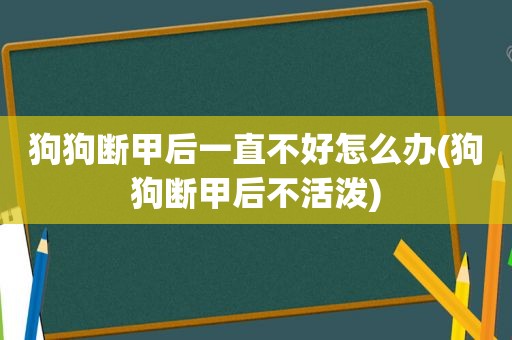 狗狗断甲后一直不好怎么办(狗狗断甲后不活泼)