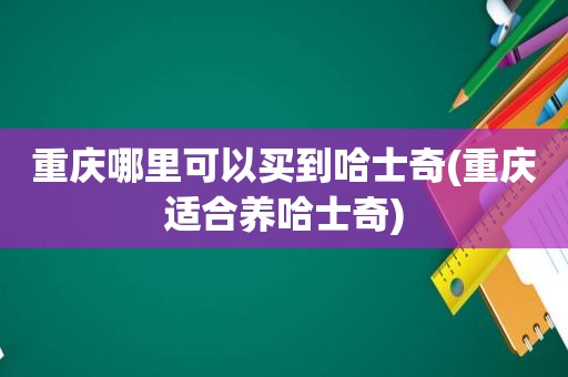 重庆哪里可以买到哈士奇(重庆适合养哈士奇)