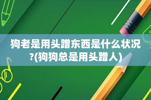 狗老是用头蹭东西是什么状况?(狗狗总是用头蹭人)