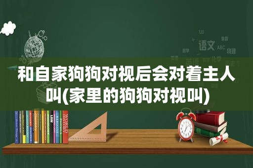 和自家狗狗对视后会对着主人叫(家里的狗狗对视叫)