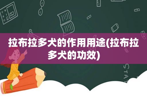 拉布拉多犬的作用用途(拉布拉多犬的功效)