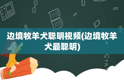 边境牧羊犬聪明视频(边境牧羊犬最聪明)