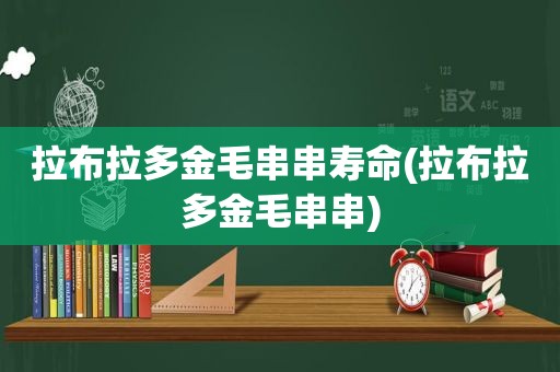 拉布拉多金毛串串寿命(拉布拉多金毛串串)