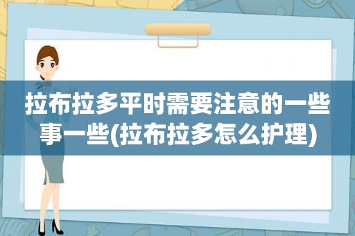 拉布拉多平时需要注意的一些事一些(拉布拉多怎么护理)