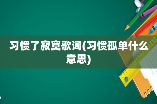 习惯了寂寞歌词(习惯孤单什么意思)