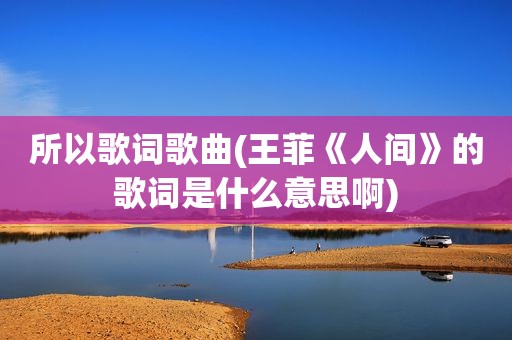 所以歌词歌曲(王菲《人间》的歌词是什么意思啊)