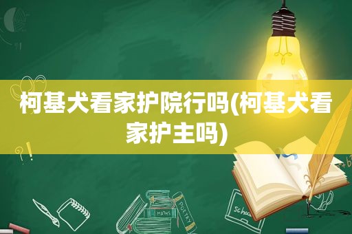 柯基犬看家护院行吗(柯基犬看家护主吗)