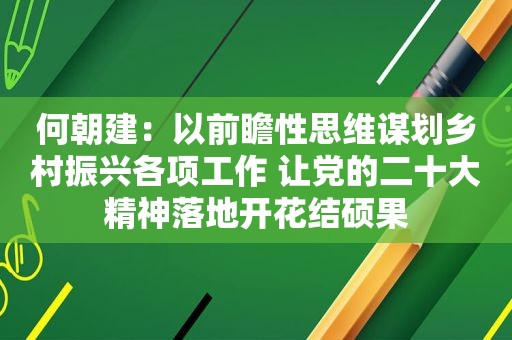 何朝建：以前瞻性思维谋划乡村振兴各项工作 让党的二十大精神落地开花结硕果