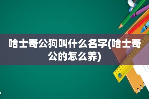 哈士奇公狗叫什么名字(哈士奇公的怎么养)