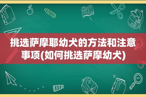 挑选萨摩耶幼犬的方法和注意事项(如何挑选萨摩幼犬)