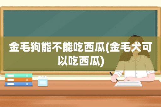 金毛狗能不能吃西瓜(金毛犬可以吃西瓜)