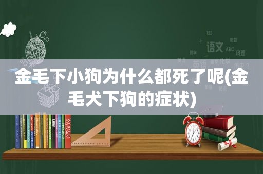 金毛下小狗为什么都死了呢(金毛犬下狗的症状)