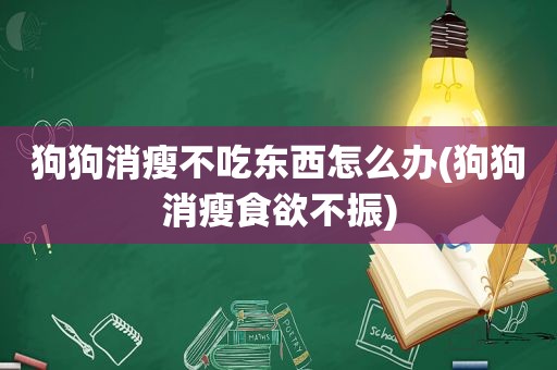 狗狗消瘦不吃东西怎么办(狗狗消瘦食欲不振)