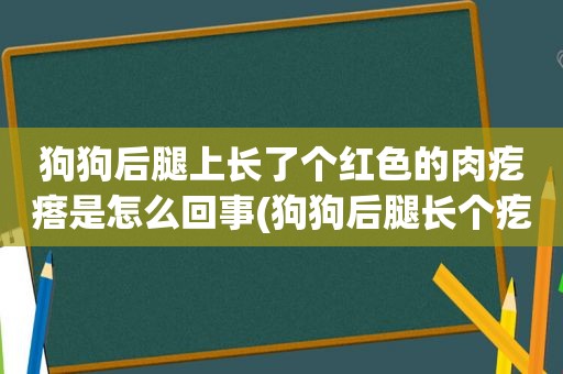 狗狗后腿上长了个红色的肉疙瘩是怎么回事(狗狗后腿长个疙瘩)