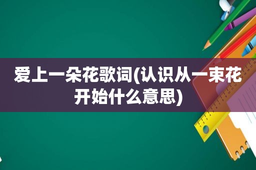 爱上一朵花歌词(认识从一束花开始什么意思)