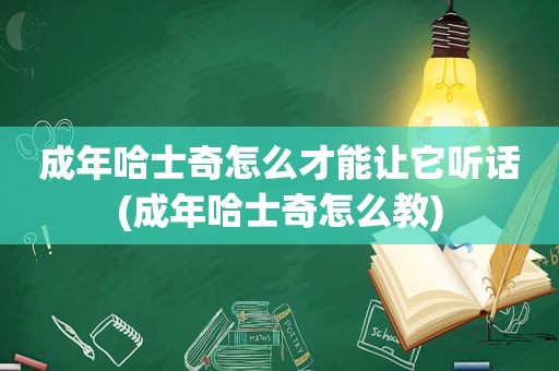 成年哈士奇怎么才能让它听话(成年哈士奇怎么教)