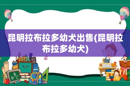 昆明拉布拉多幼犬出售(昆明拉布拉多幼犬)