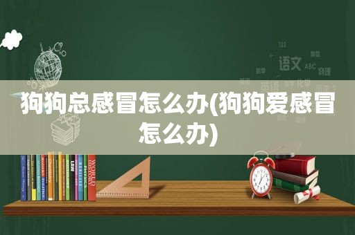 狗狗总感冒怎么办(狗狗爱感冒怎么办)