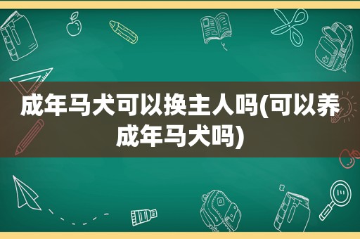 成年马犬可以换主人吗(可以养成年马犬吗)