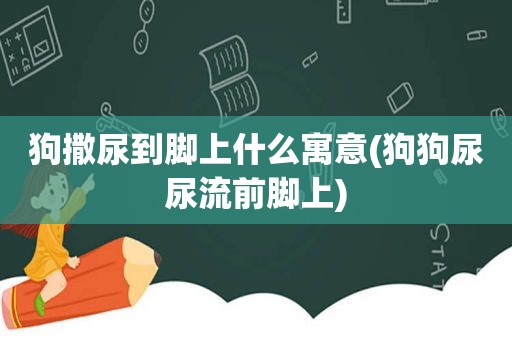 狗撒尿到脚上什么寓意(狗狗尿尿流前脚上)