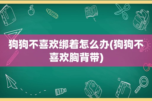 狗狗不喜欢绑着怎么办(狗狗不喜欢胸背带)