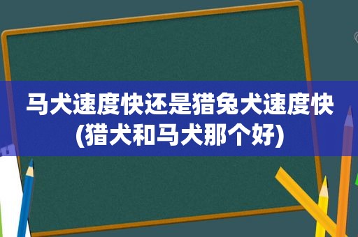 马犬速度快还是猎兔犬速度快(猎犬和马犬那个好)